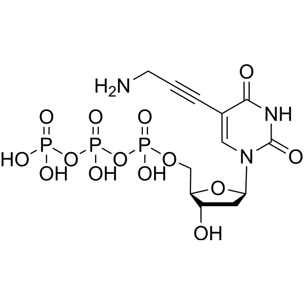 5-PA-dUTP (5-Propargylamino-dUTP) 179101-49-6